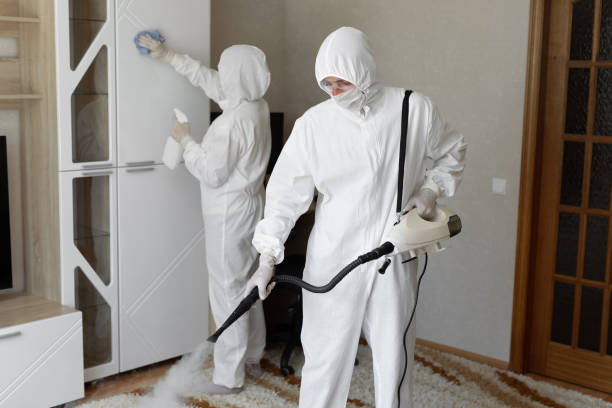 Professional Mold Remediation in Oak Harbor, OH